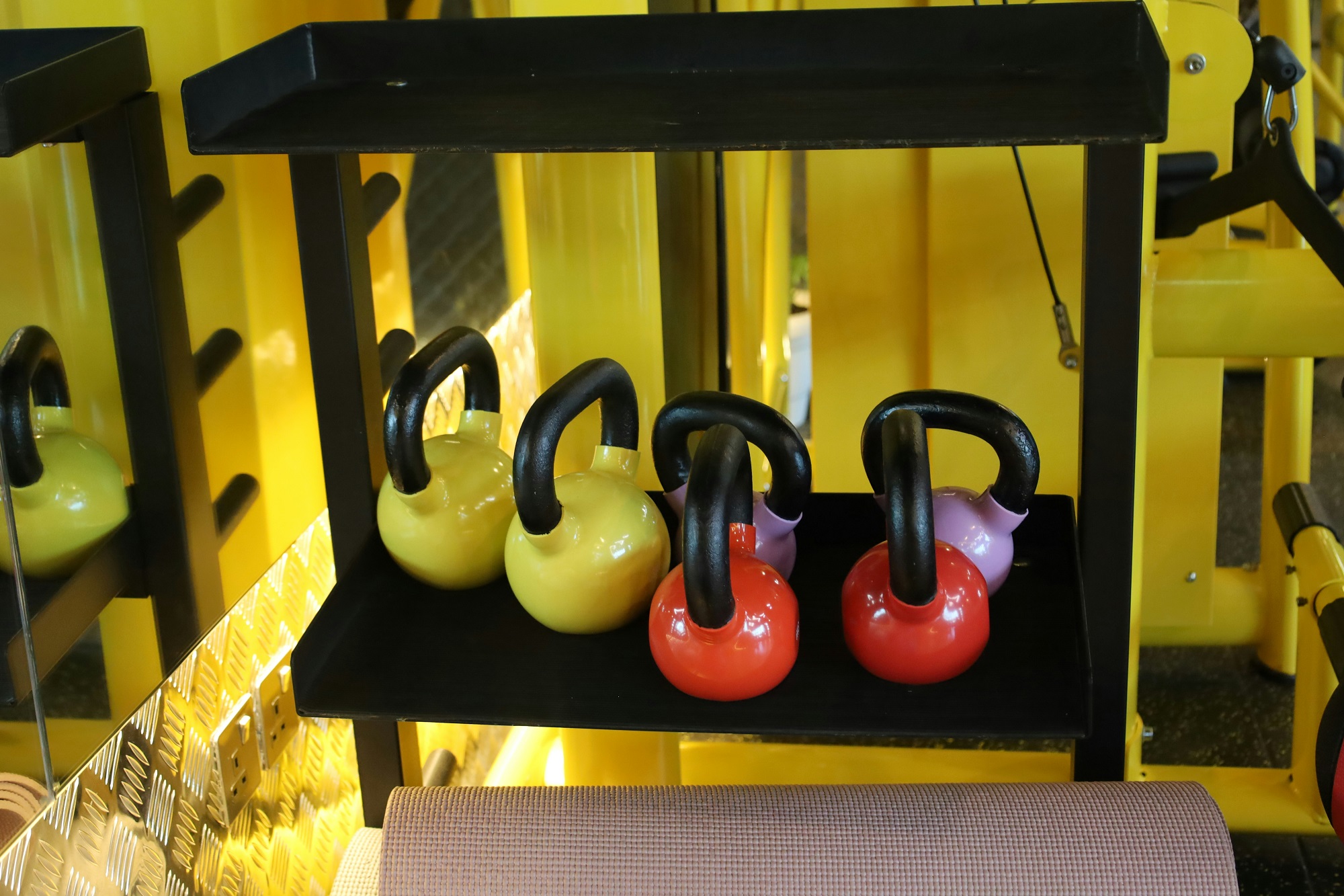 GYMPROLUXE Products: Build Your Dream Gym Anywhere
