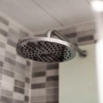 Sproos: Elevate Your Everyday Wellness with Premium Nutrition Solutions