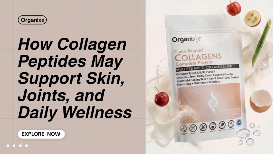 How Collagen Peptides May Support Skin, Joints, and Daily Wellness