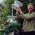 Lettuce Grow Collections: A Complete Guide to Smarter Home Gardening