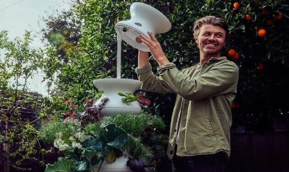 Lettuce Grow: The Future of Home Gardening